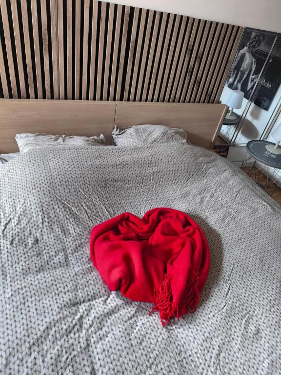 Postel nebo postele na pokoji v ubytování Studio autonome magnifique TB situé Chaumont-Gistoux