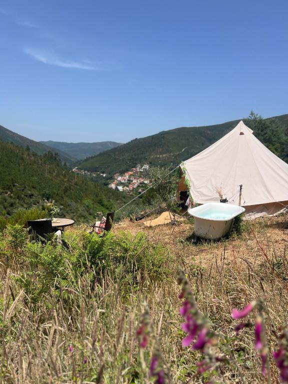 Příroda nedaleko luxury tent