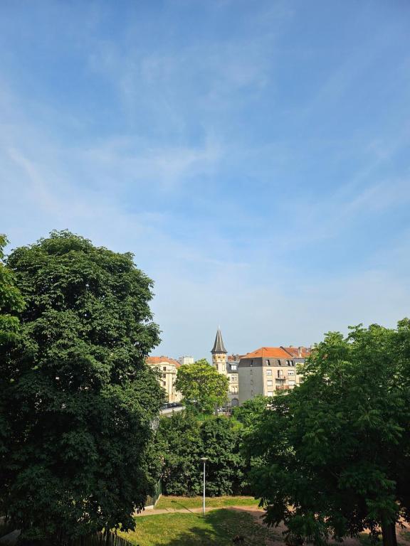 un groupe d'arbres avec des bâtiments en arrière-plan dans l'établissement F2 sympa quartier Nouvelle Ville, à Metz