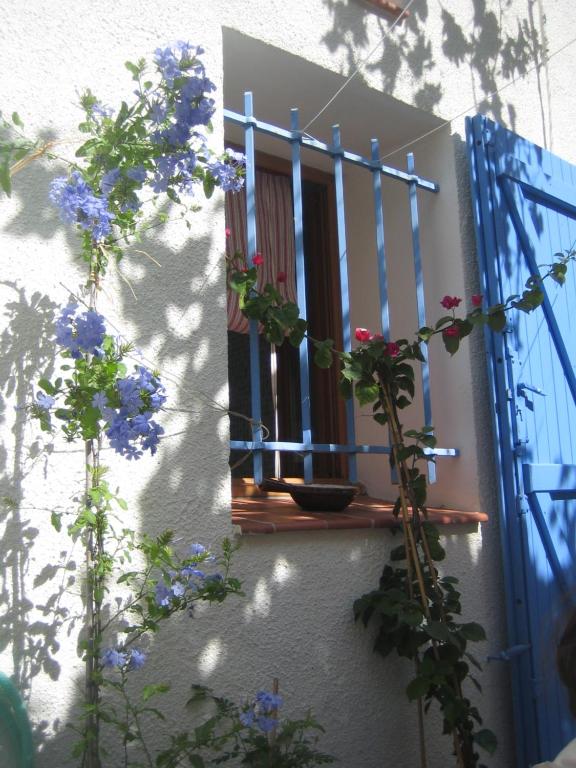 a window with a blue door and flowers on a building at Casa Del Angel in Cerbère