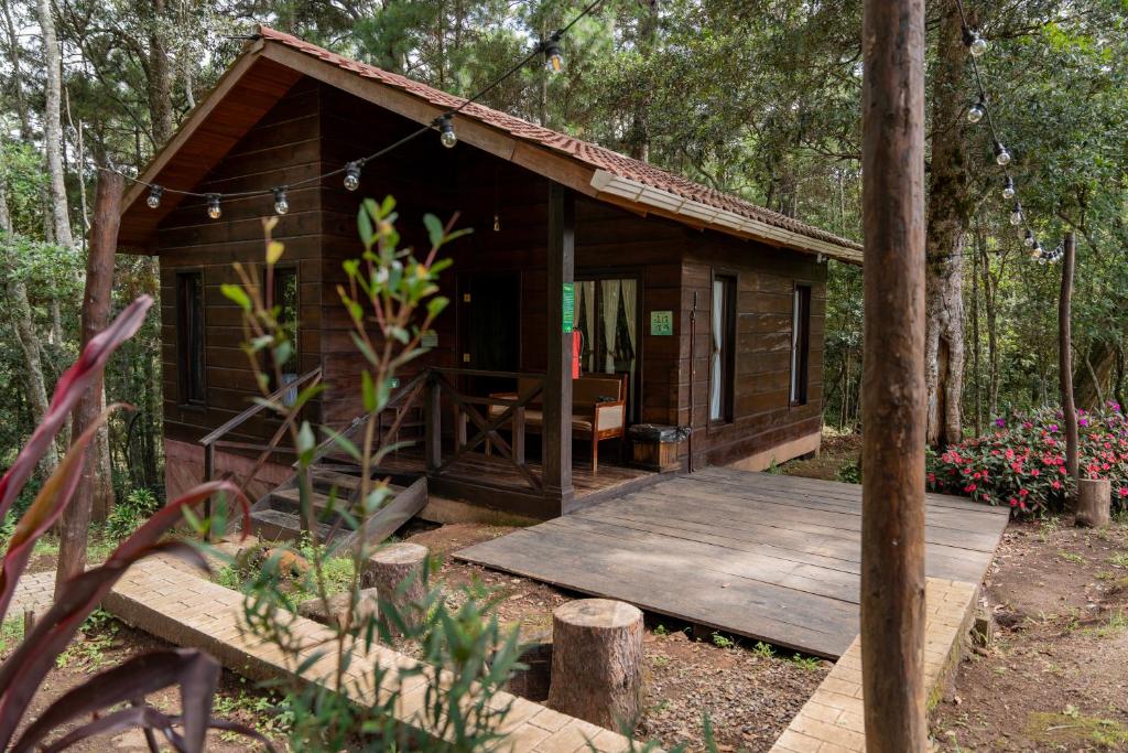 Κήπος έξω από το Cotan Ecolodge