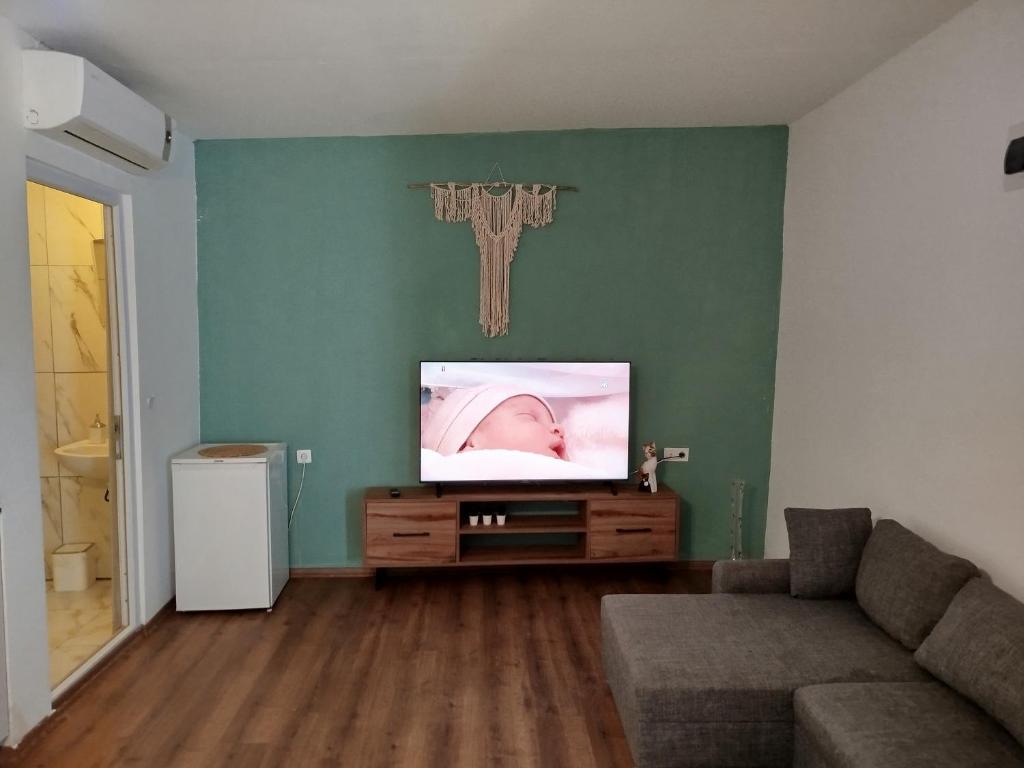TV a/nebo společenská místnost v ubytování Kiriş Garden Hotel