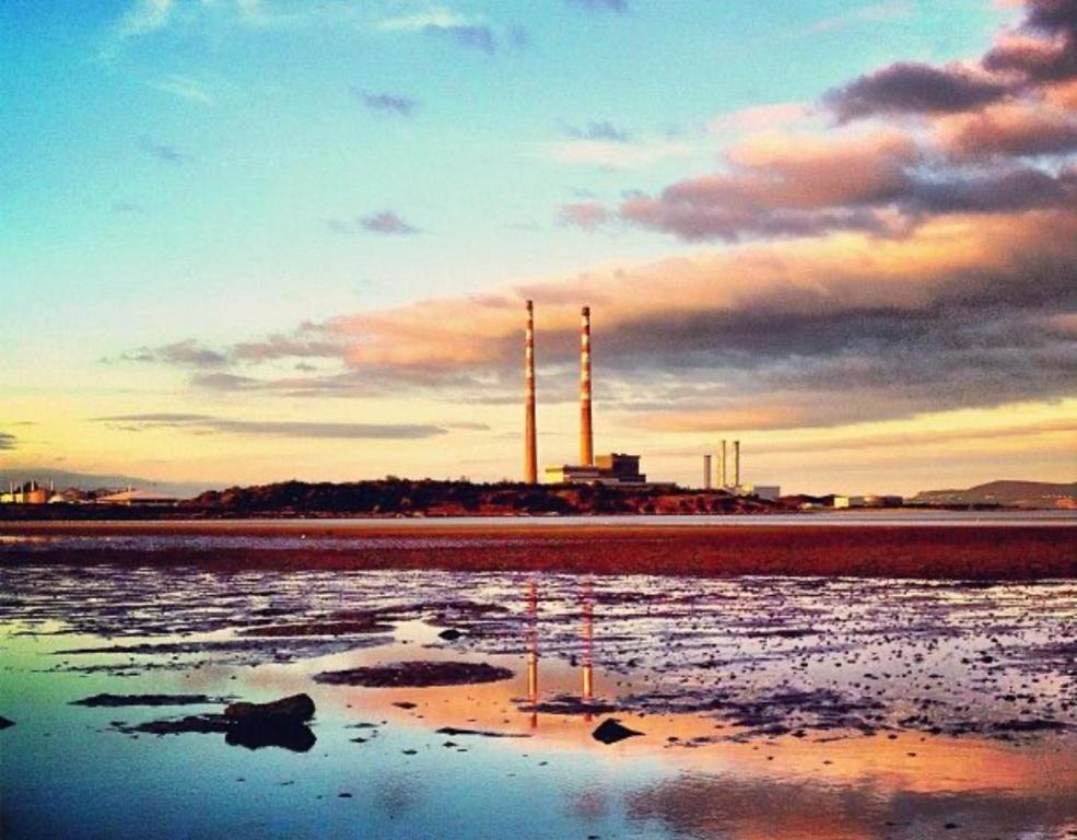 The Merry Cobbler - Resim 10