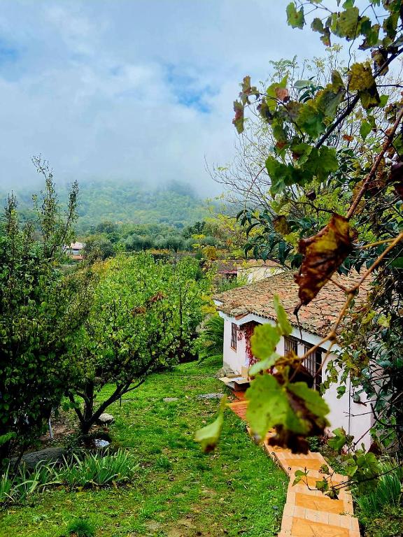 a house in a field with trees and a mountain at La Casa de Cadia 2 in El Real de San Vicente