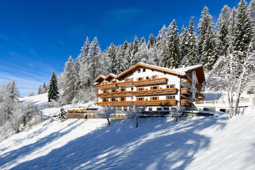 Aktiv Hotel Schönwald v zimě
