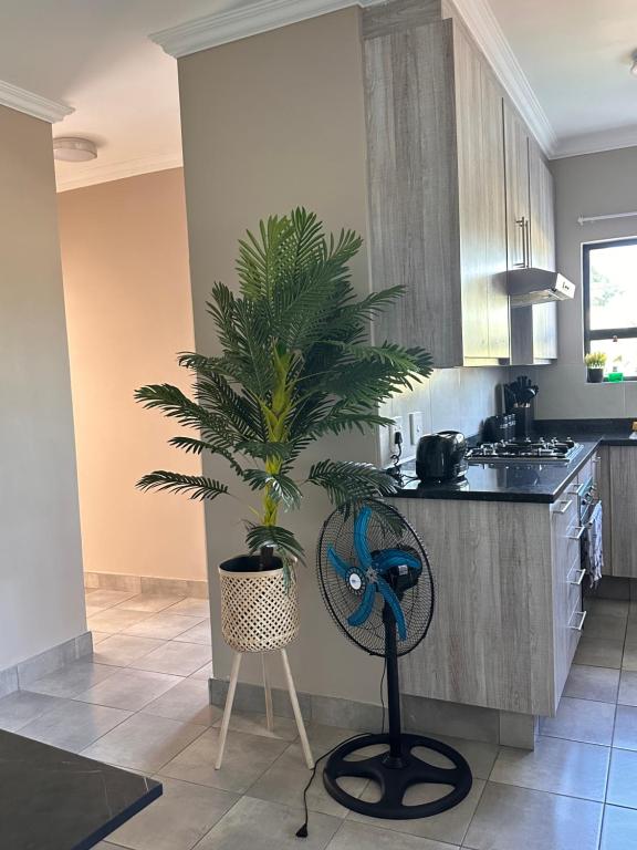 a palm tree in a kitchen with a plant at Home Away from Home number 2 in Roodepoort