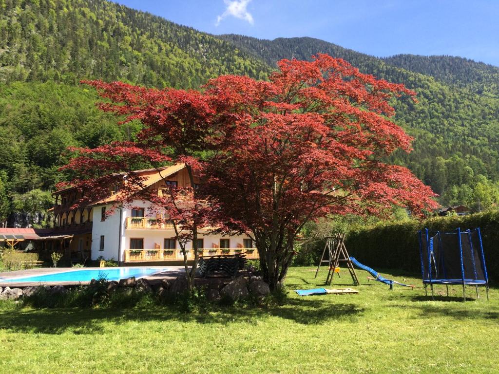 Nespecifikovaný výhled na hory nebo výhled na hory při pohledu z hotelu