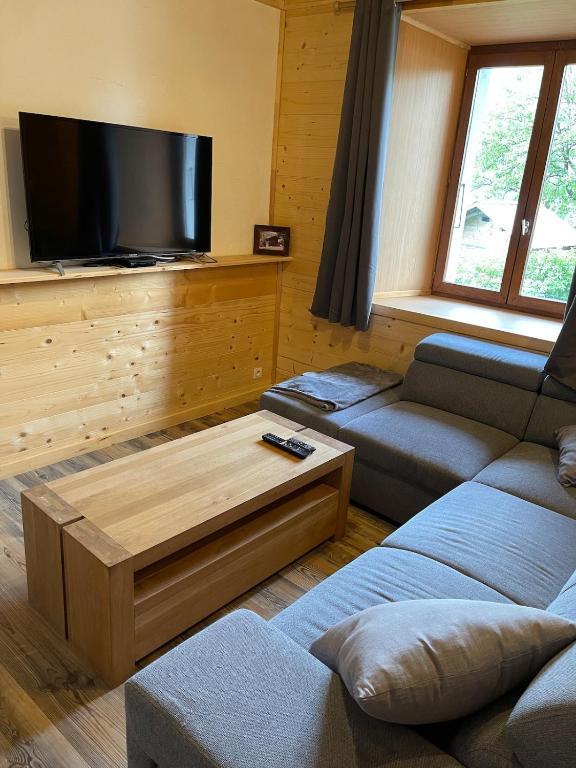 un salon avec un canapé et une télévision dans l'établissement Cozy apartment with a view, à Samoëns