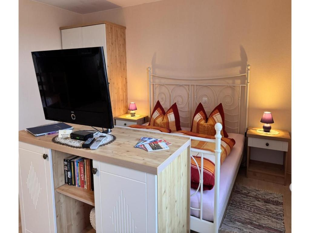 TV a/nebo společenská místnost v ubytování Charmante Ferienwohnung mit Garten in Wiek
