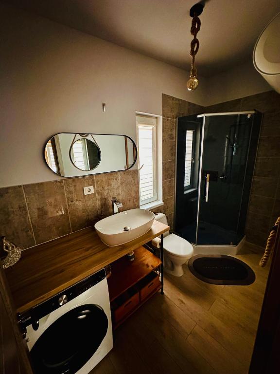 a bathroom with a sink and a toilet and a mirror at Žvejo Namelis prie Jūros in Melnragė