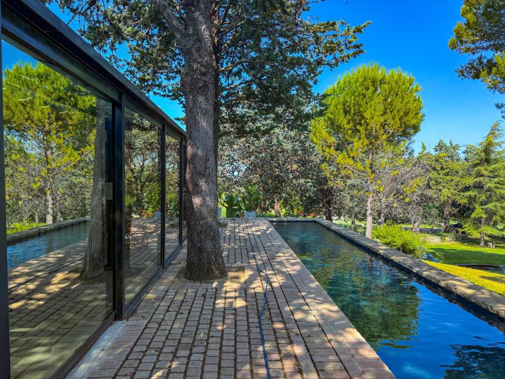 une maison avec une piscine à côté d'un arbre dans l'établissement L'Atelier d'artiste, Lodge contemporain à ciel ouvert avec piscine, à Saint-Saturnin-lès-Apt