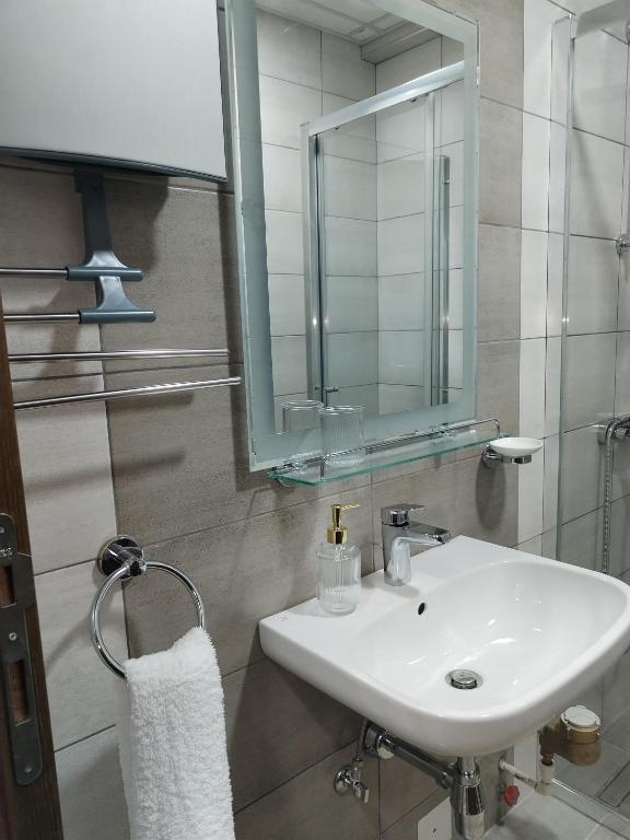Koupelna v ubytování Apartman Simijonovic