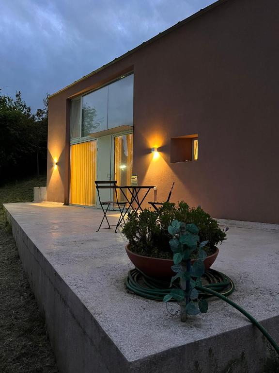 a house with a potted plant in front of it at Douro Wellspring in Santa Marinha do Zêzere