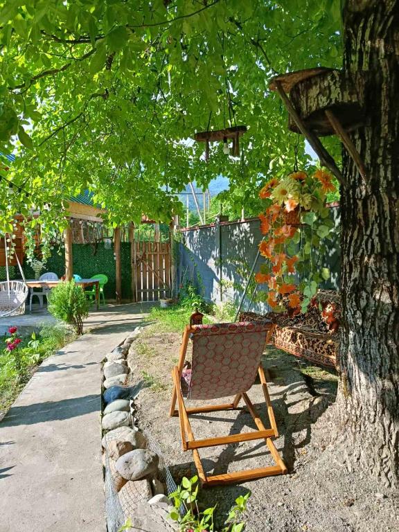 Zahrada ubytování Hotel alisa in racha