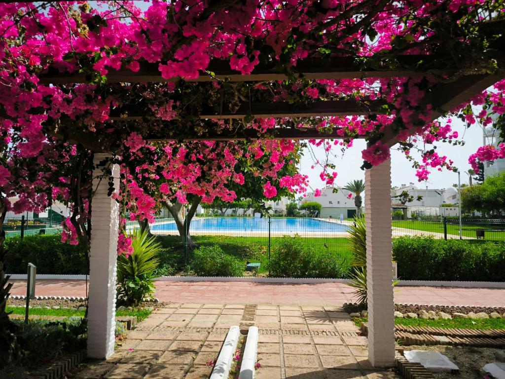 a pergola covered in pink flowers next to a pool at Cayo Beach in Torrox Costa