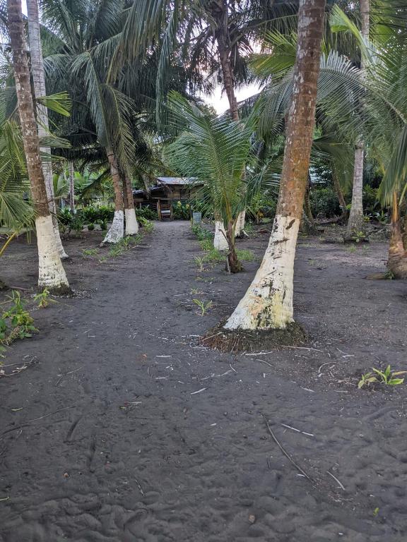 Zahrada ubytování Avistamiento Fauna Flora Caribe