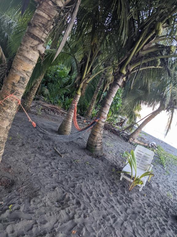 Zahrada ubytování Avistamiento Fauna Flora Caribe