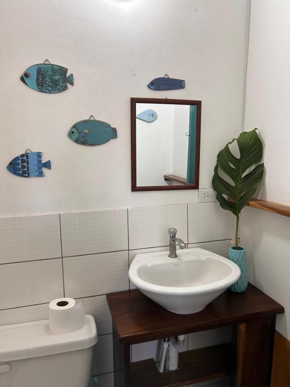 Un baño de Old Bocasso