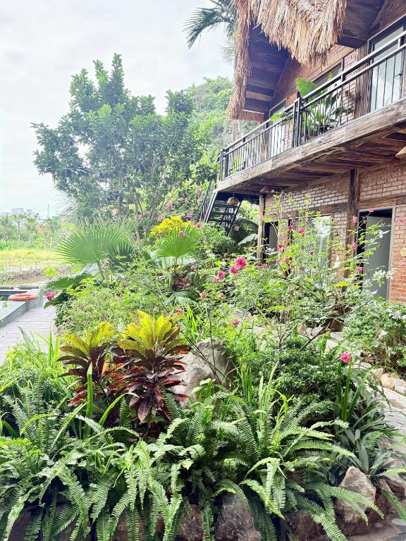 Tam Coc Golden Fields - 14
