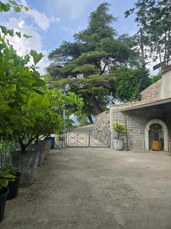 Fotografie z fotogalerie ubytování ADA's Guest House v destinaci Gjirokastër