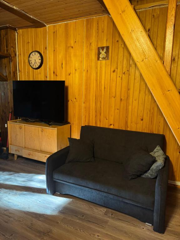 TV a/nebo společenská místnost v ubytování Leśna Chata Arciechów