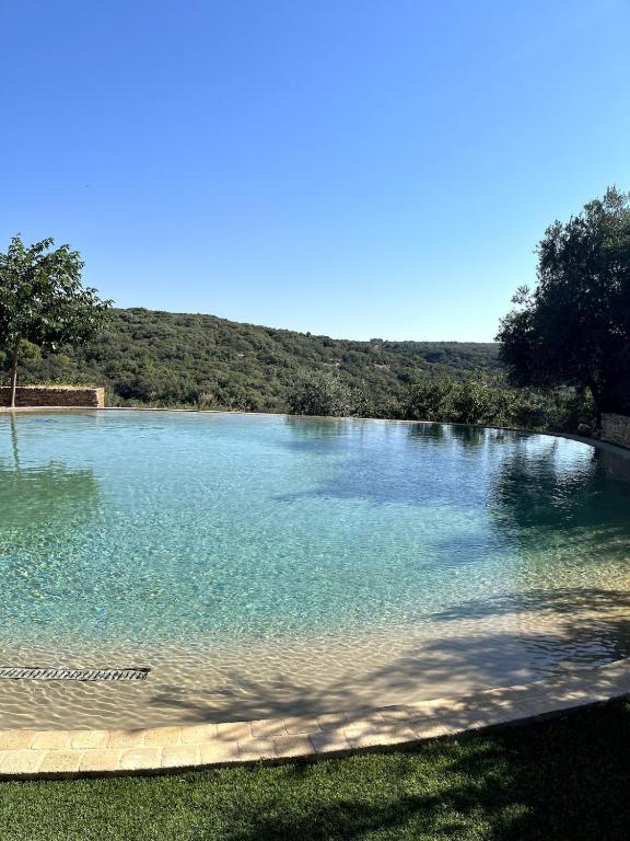 une grande masse d'eau avec des arbres à l'arrière-plan dans l'établissement Villa 6 Pers Uzes piscine lagon et vue garrigue, à Saint-Maximin