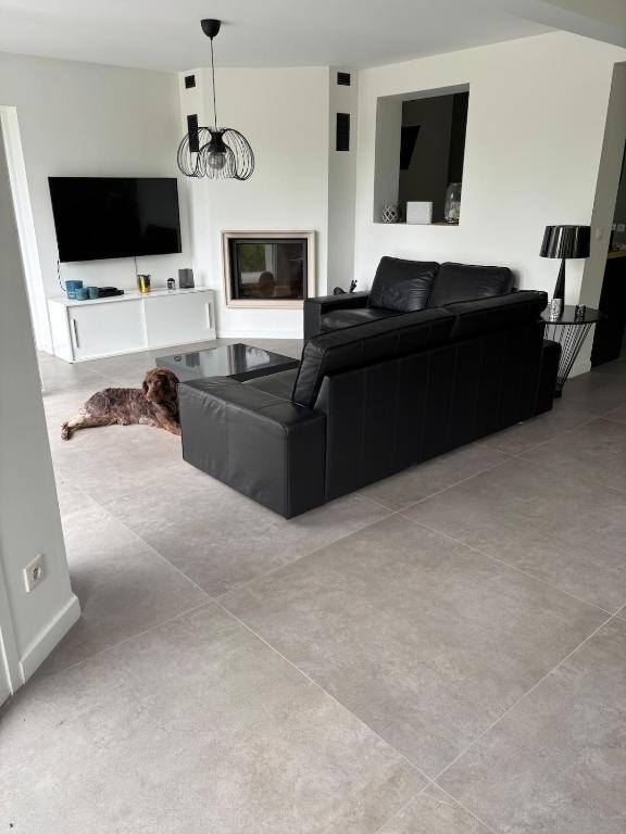 un salon avec un canapé noir et une télévision dans l'établissement La vacancière, à Cucq