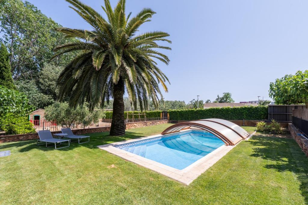 a palm tree and a swimming pool in a yard at Casa Pont in Tarragona