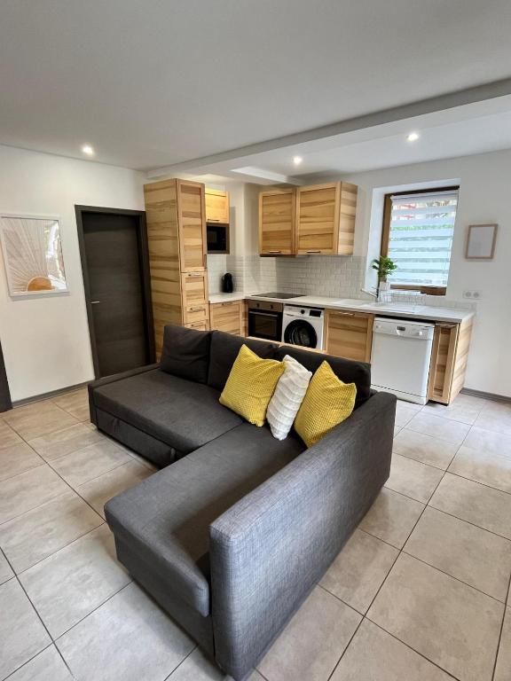 un salon avec un canapé et une cuisine dans l'établissement Abbaye Apartment Saint Jean D'Aulps, à Saint-Jean-dʼAulps