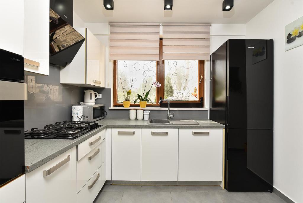 Kuchyňa alebo kuchynka v ubytovaní Apartments 408 Fazana