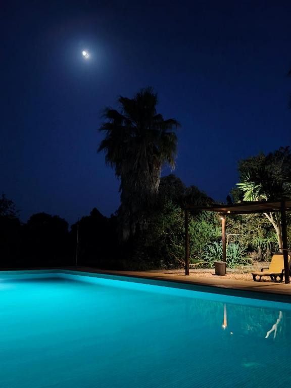 圣地亚哥-杜卡森Monte Horizonte - Villas Privadas - Eco e Natureza的夜间游泳池,月亮在顶端