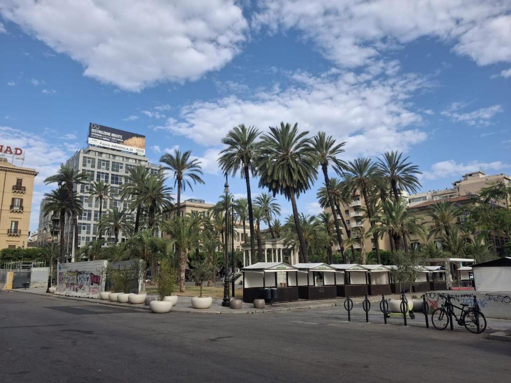 a street with palm trees and buildings in a city at Art suite palermo in Palermo