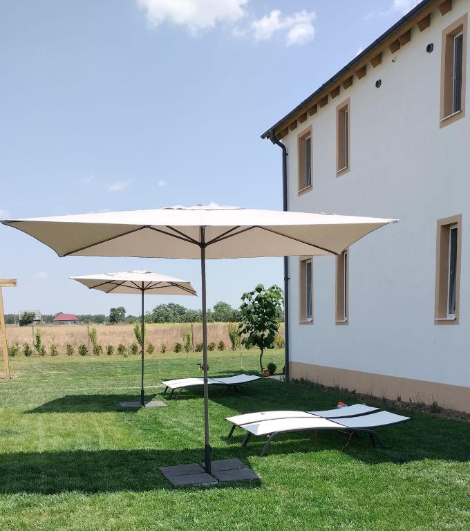 two umbrellas in the grass next to a building at Wild Serenity in Vadu