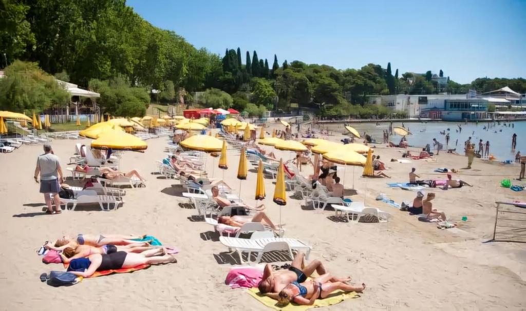 Príroda v okolí apartmánu