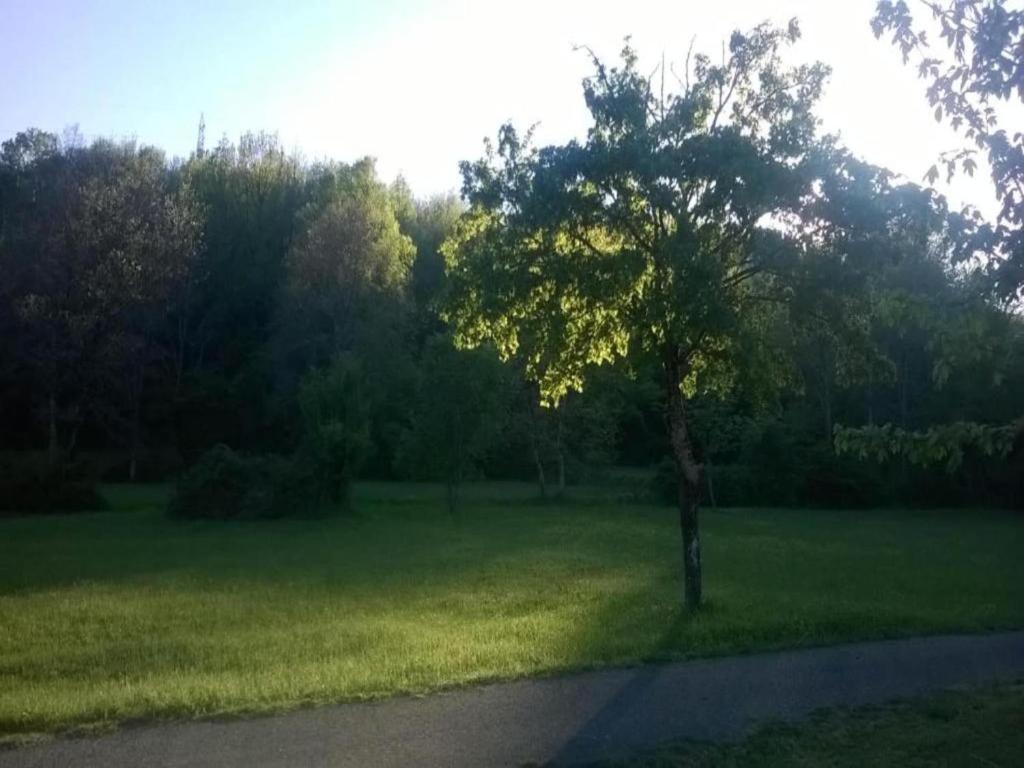Hosté ubytování Holiday home in Canossa with Swimming Pool, Garden, Barbecue