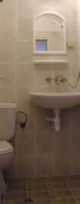 Koupelna v ubytování Guesthouse Tzar Asen