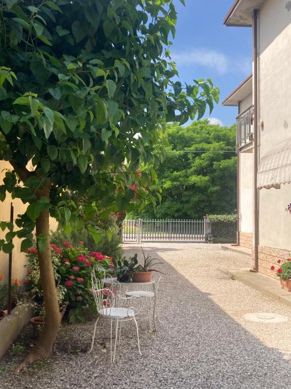 Zahrada ubytování B&B L'Airone