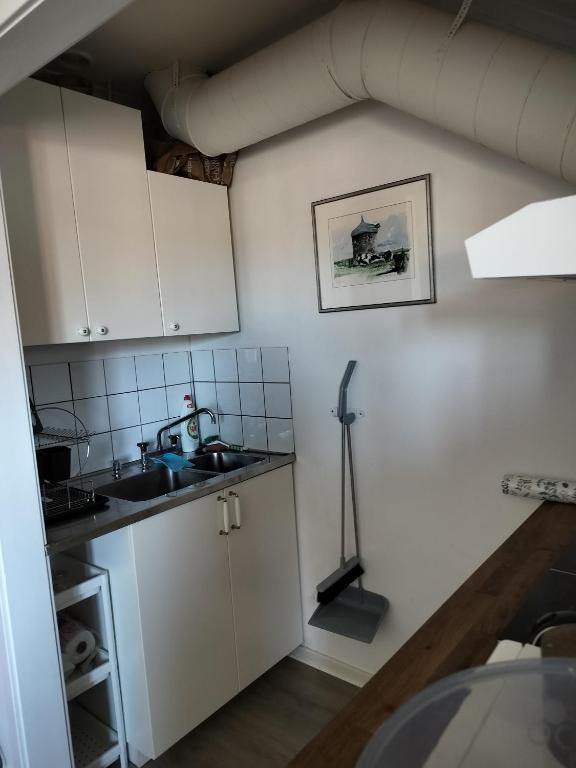 Kuchyň nebo kuchyňský kout v ubytování Pilane B&B