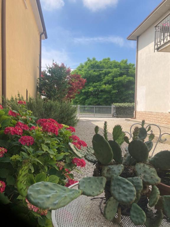 Zahrada ubytování B&B L'Airone