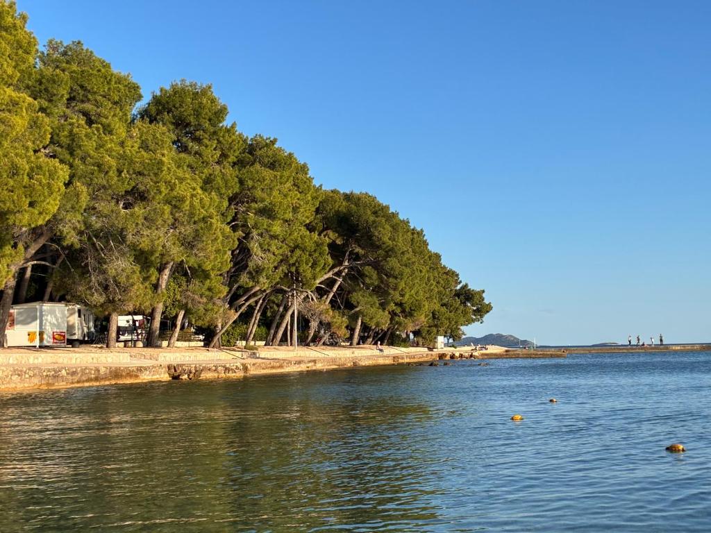 Φυσικό τοπίο κοντά σε αυτό το κάμπινγκ