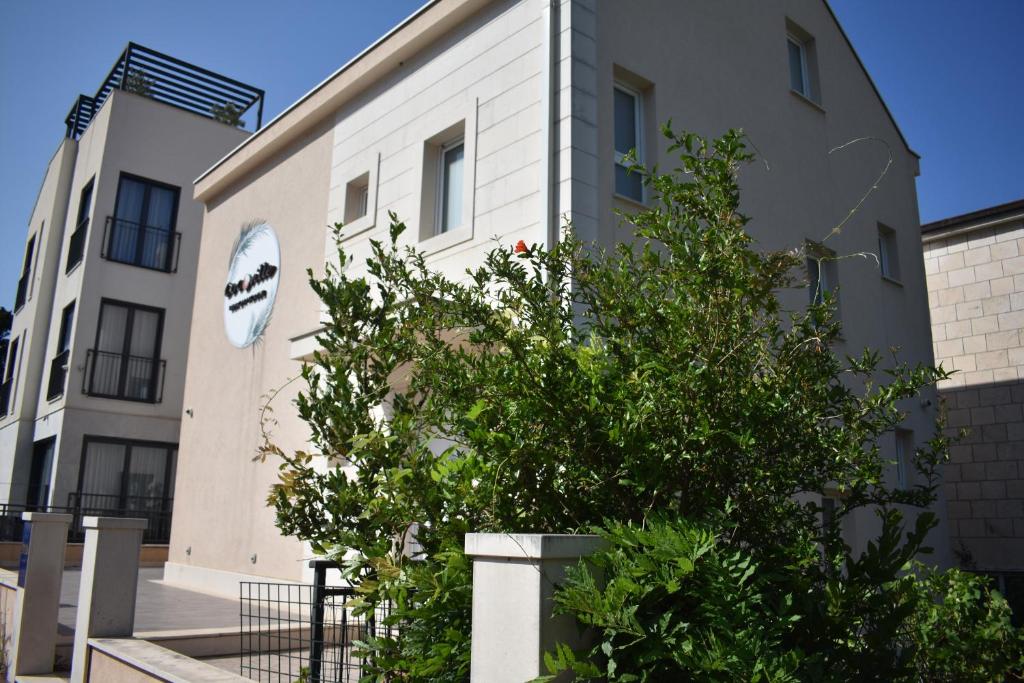 a building with a tree in front of it at CoCo Villa in Makarska