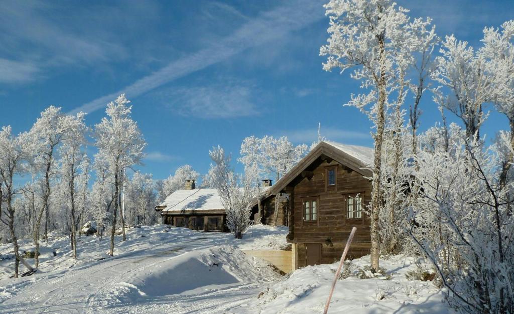 Large Log Cabin, Ski Fun Near Dagali om vinteren