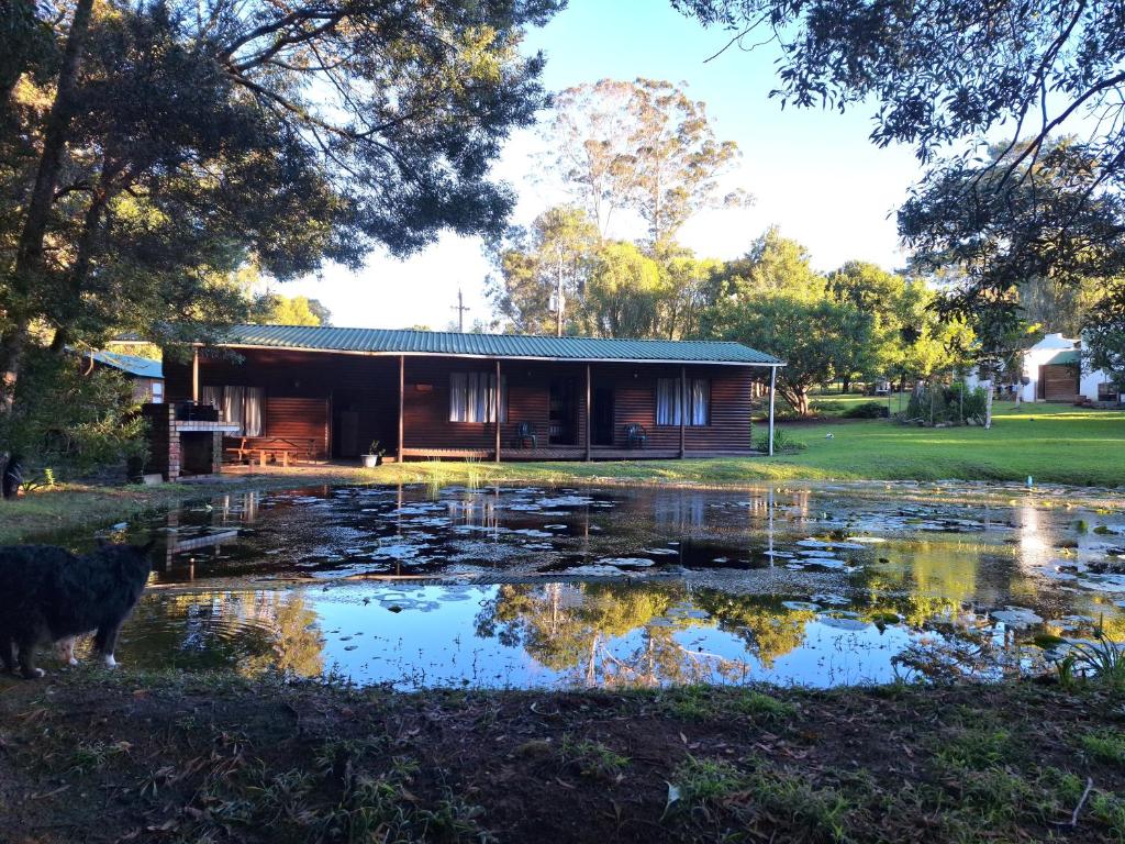 a log cabin with a pond in front of it at Plett Forest Cabins in Plettenberg Bay