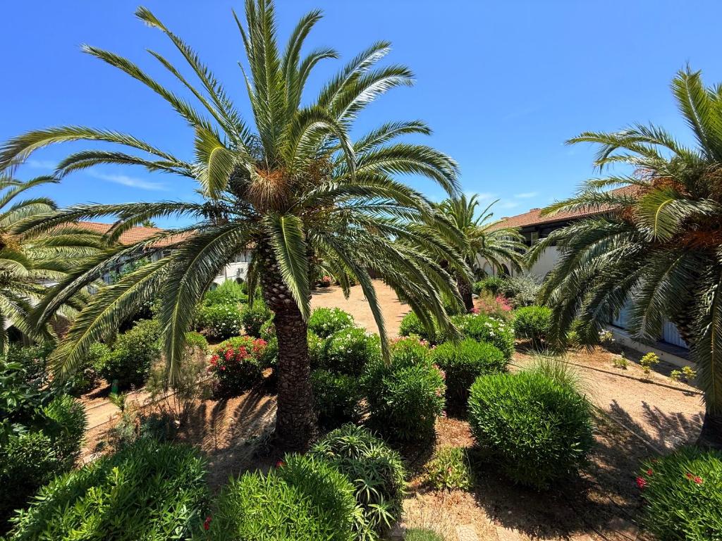 Κήπος έξω από το Appartement avec Loggia paisible, à 500m de la plage - vue dégagée & parking privé