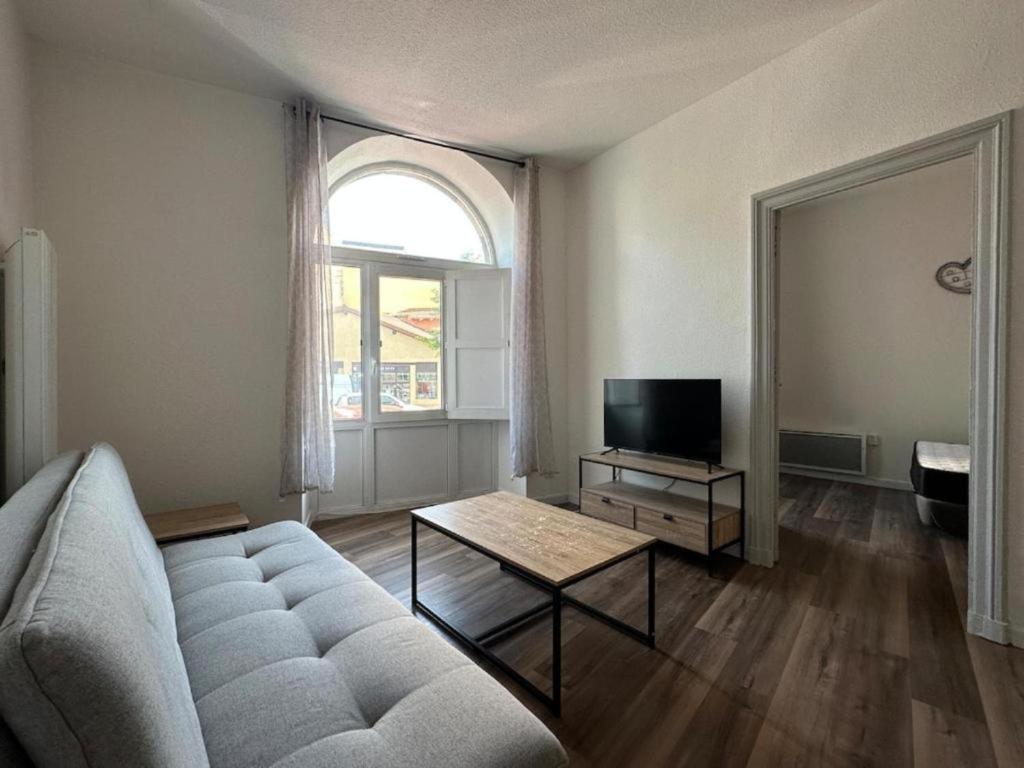 un salon avec un canapé et une télévision dans l'établissement T2 Spacieux et lumineux, au Puy-en-Velay