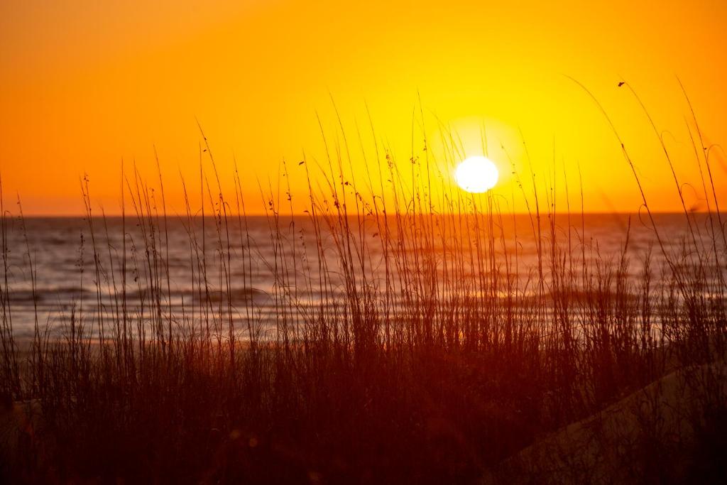 un tramonto sulla spiaggia con l'oceano e l'erba alta di 2294 Heritage Villas at The Sea Pines Resort a Hilton Head Island