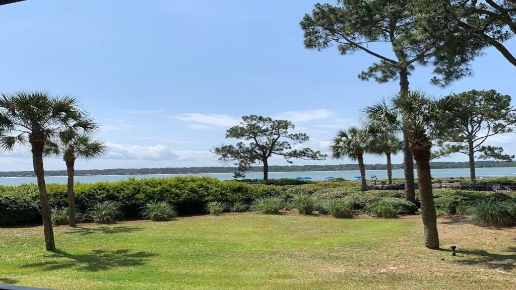 un parc avec des palmiers et une vue sur l'eau dans l'établissement 1849 Beachside Tennis at The Sea Pines Resort, à Île de Hilton-Head