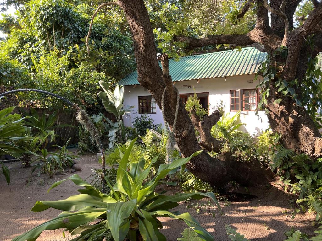 Zahrada ubytování Moz-Tree Inn