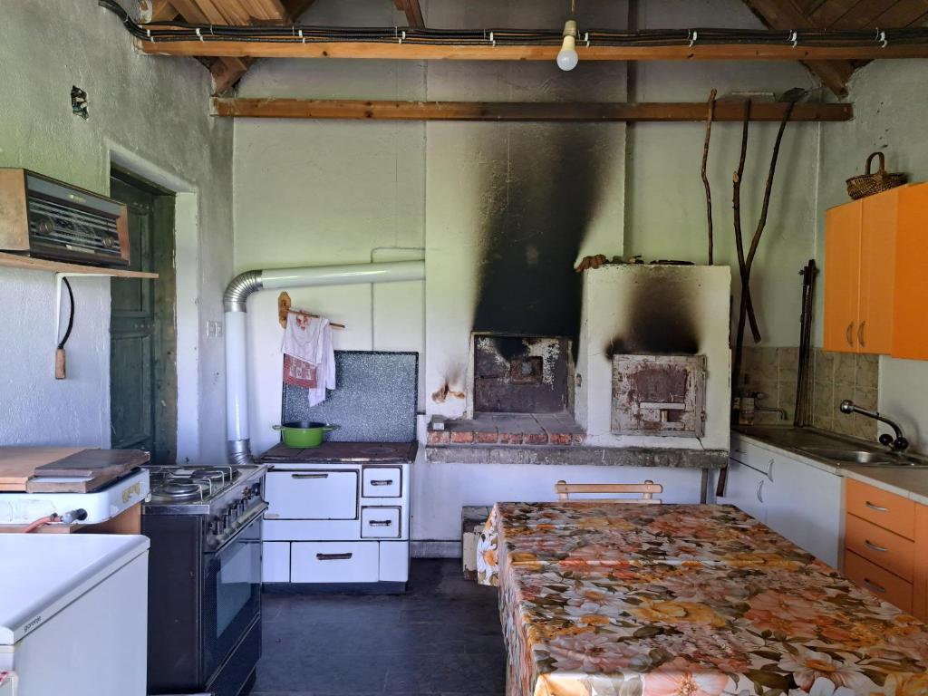 Kuchyň nebo kuchyňský kout v ubytování EcoFit Povlen