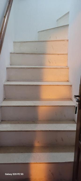 Departamento Dorrego